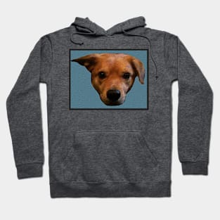 Banjo Portrait Hoodie